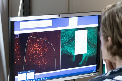 computer screen with red and green images