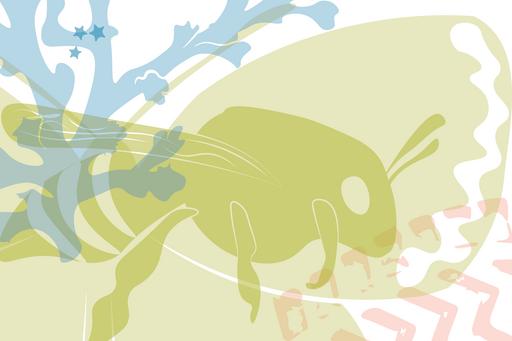 SamBio Graphic with bee