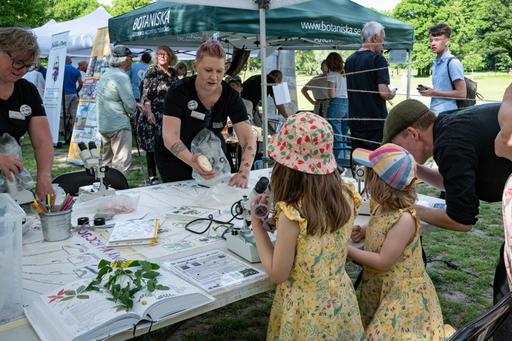 Bioblitz in Gothenburg