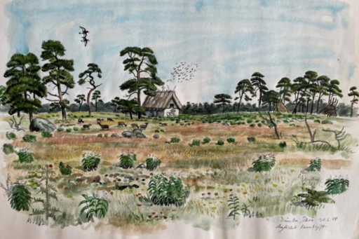 Dämba på Fårö. Akvarell av Nils Forshed.