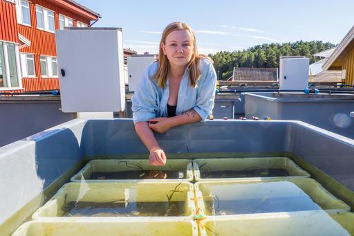 Erica Wik vid karen på Tjärnö.