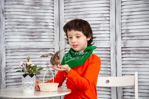 Little boy holding bird in his hand