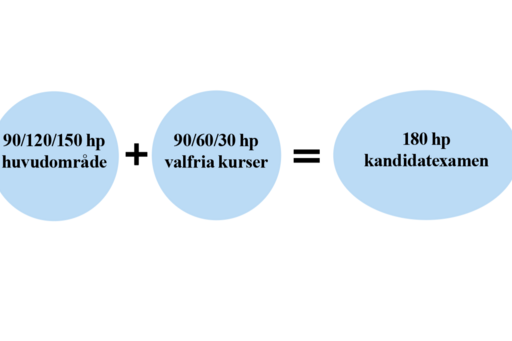 antal poäng i huvudområde respektive valfria kurser som bildar kandidatexamen