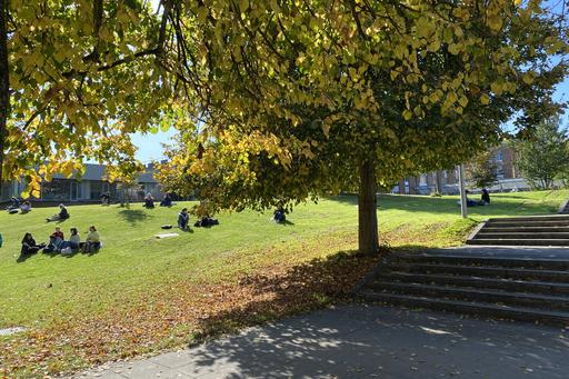 Visar lummigt campusområde vid universitet.