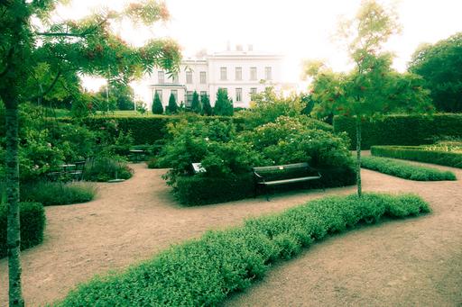 The garden in Jonsered