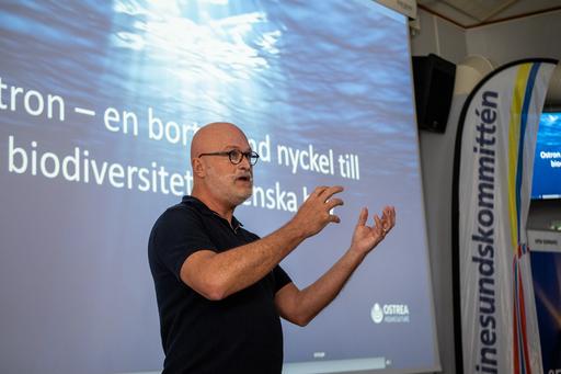 Christian Vorbeck, Ostrea.