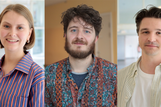 Axa Lares, Stefano Tarroni and Yannik Obelöer are at different stages of their PhD studies.