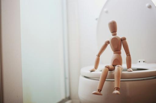 Wooden figures on toilet
