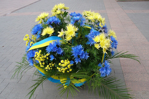 Blommor och de ukrainska färgerna blått och gult