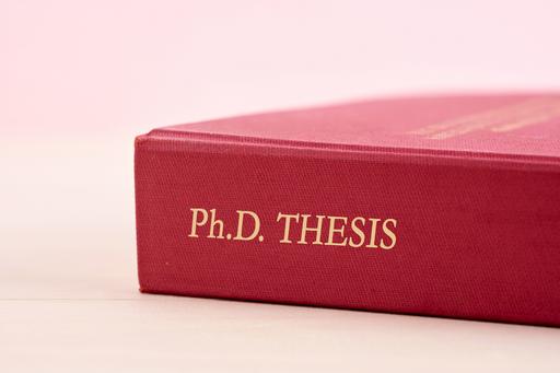 Doctoral thesis
