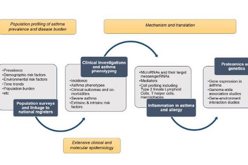 Phases and components of investigations in the West Sweden asthma study.