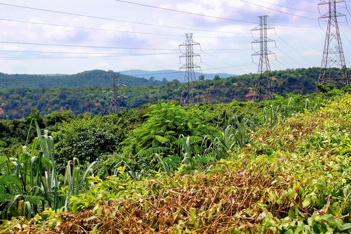 Powerlines in Ghana