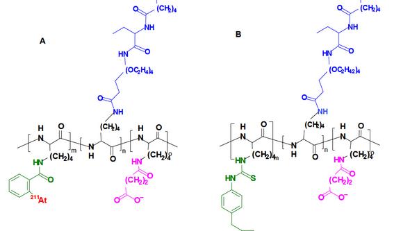 Illustration of schematic structures of effector molecules