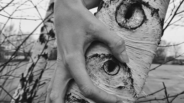 Tree, hands, eye