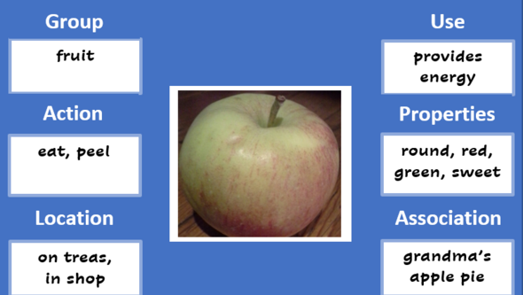 Different ways of describing an apple