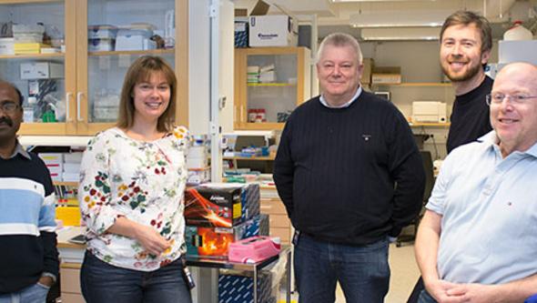 Forskarna samlade i labbet. Från vänster: Chandrasekhar Kanduri, Ruth Palmer, Tommy Martinsson,