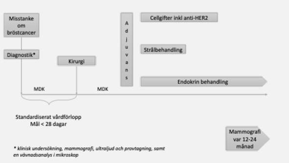 Översiktsbild behandling bröstcancer