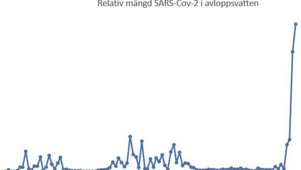Kurva som visar hur halterna av sars-cov-2 i avloppsvattnet i Göteborg rakat i höjden senaste veckorna