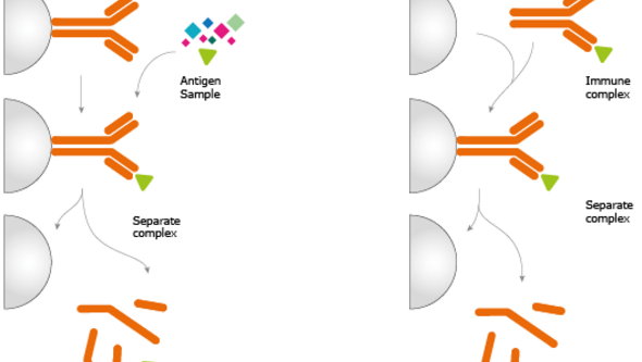 proteins are purified from complex mixtures using specific antibodies