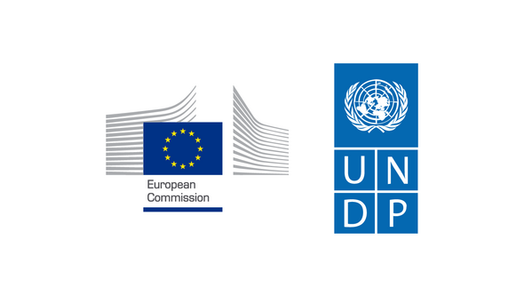 EU UNDP