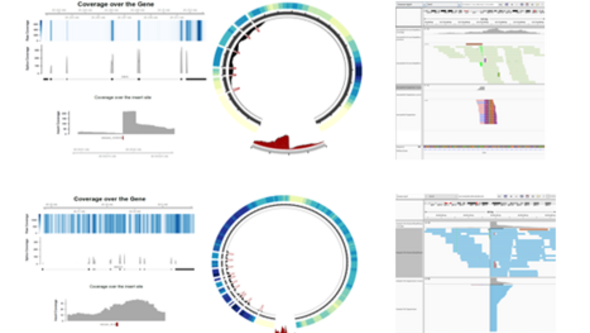 Exempel på visualisering av data i verktyget PΨFinder