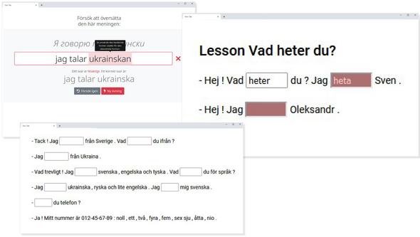Skärmdumpar av betaversion för grammatiska övningar till SwedishFromScratch (David Alfter och Arianna Masciolini)