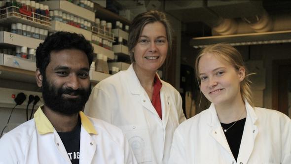 Doktoranden Sanjay Sukumar, professor Ruth Palmer och studenten Linnea Molander i laboratoriet.
