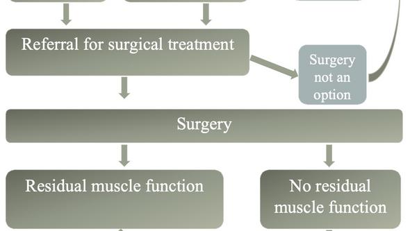Figure: The proposed treatment algorithm for spasticity-correcting surgery in this thesis. 