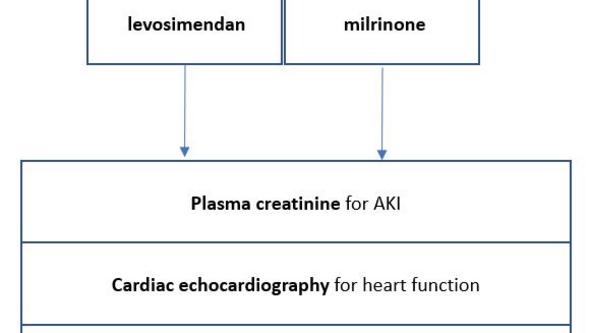 Ett flödesdiagram från ramen i avhandlingen.