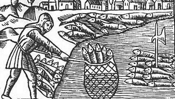 Old picture from the 16th century of herring fishing in southern Sweden.