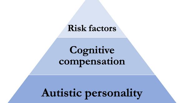 The three factors illustrated as a pyramid, which together build up to the diagnosis of autism.