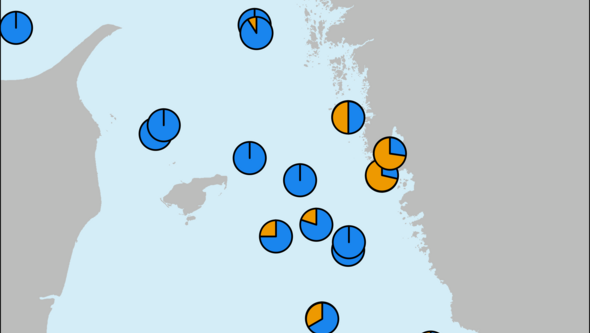 Karta över de två torsktypernas utbredning