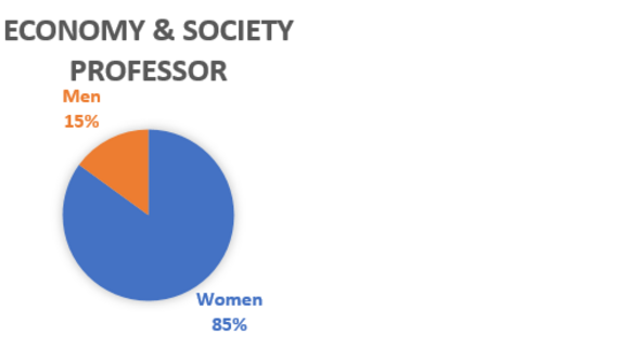 cirkediagram som visar könsfördelningen bland professorer på institutionen för ekonomi och samhälle