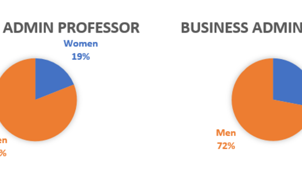 cirkediagram som visar könsfördelningen bland företagsekonomiska forskare