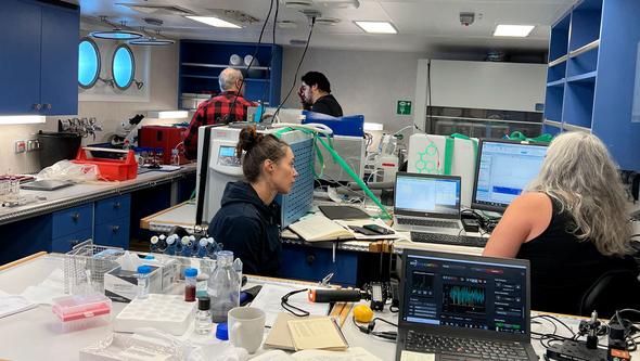 Three researchers in a lab 