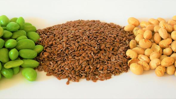 Food items: rozen green soybeans, flaxseeds, and roasted yellow soybeans.