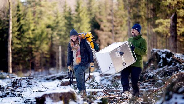 Två personer bär på forskningsutrustning i en skog.