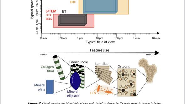 ​Figure 2, page 15 in doctoral thesis