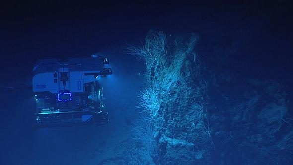 The underwater robot D2 in the deep.