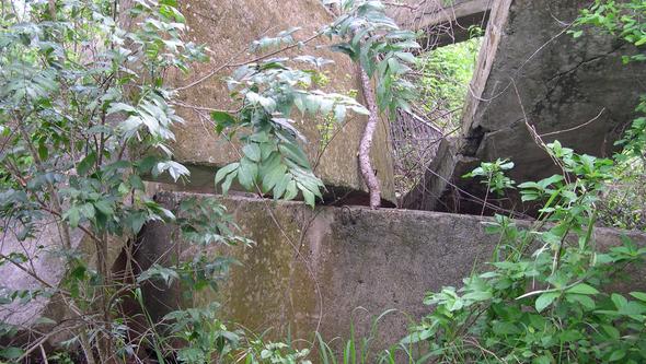 Resterna av missilhangaren i Santa Cruz de Los Pinos Kuba