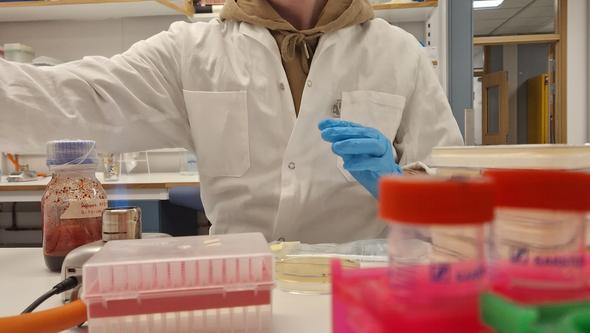 Tor Kling i laboratoriet.