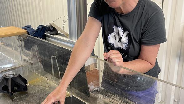 En kvinna står lutad över ett långsmalt akvarium.