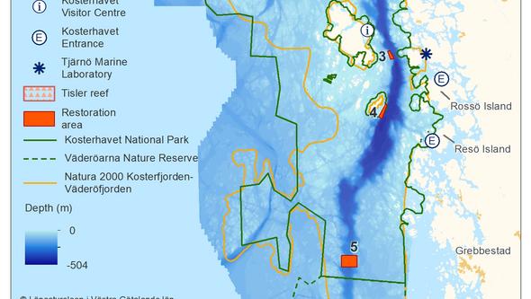 Karta som visar var korallreven ska restaureras.