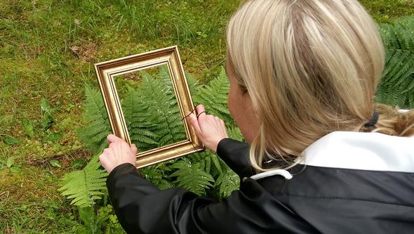 Photo frame in nature
