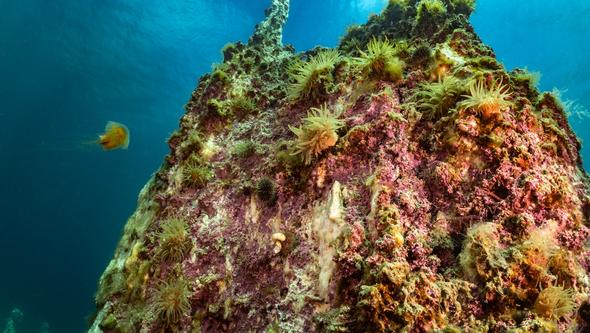 Ikaitpelare Grönland