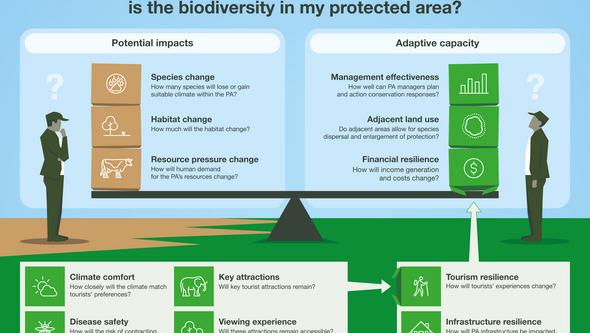 Visualization of assessment tool