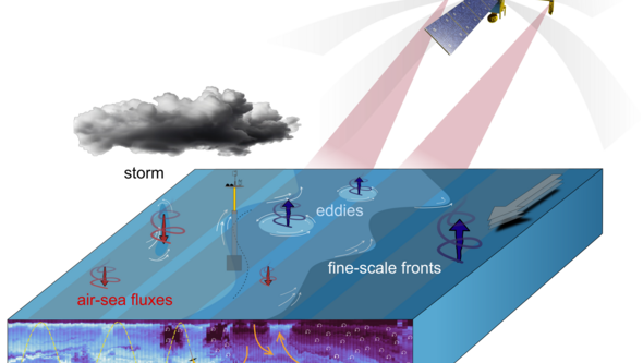 Schematisk illustration av fältarbete