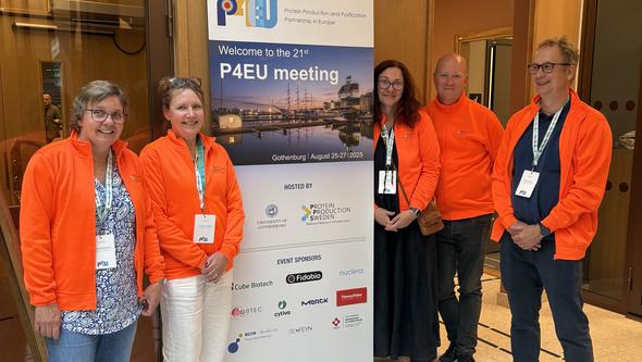 Planeringsgruppen för P4EU-konferensen