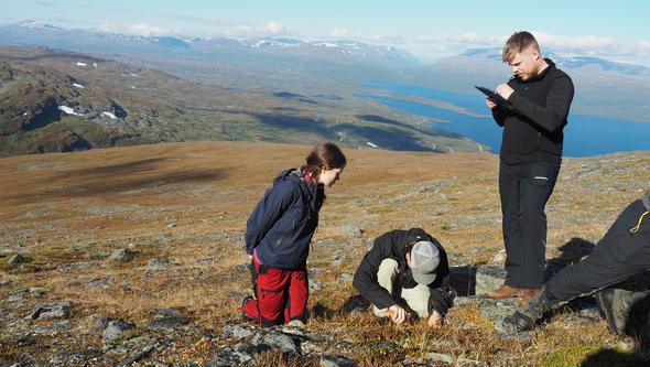 Studenter gör fältarbete i naturen i svenska fjällen.