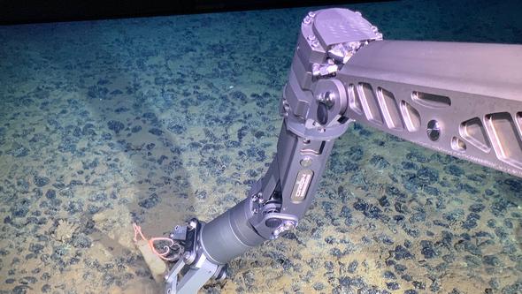 Image of a robot digging in the seabed
